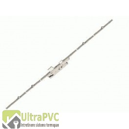 Broasca multipunct 5 puncte